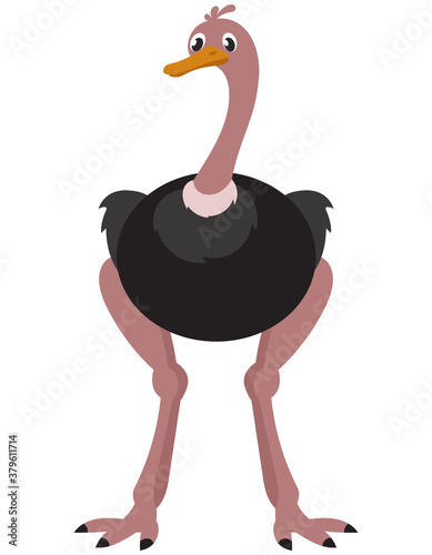Standing ostrich front view. African animal in cartoon style.