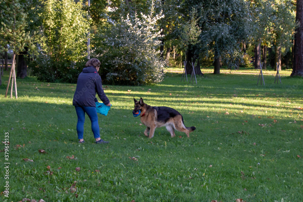 Russia, Pushkin-August 21, 2020:Photo of a woman with a dog playing in the park Russia, Pushkin-August 21, 2020:Photo of a woman with a dog playing in the park
