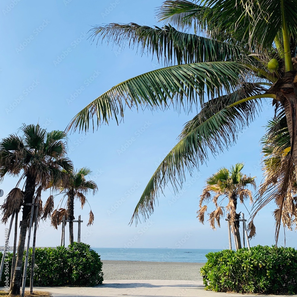 Obraz premium beach
