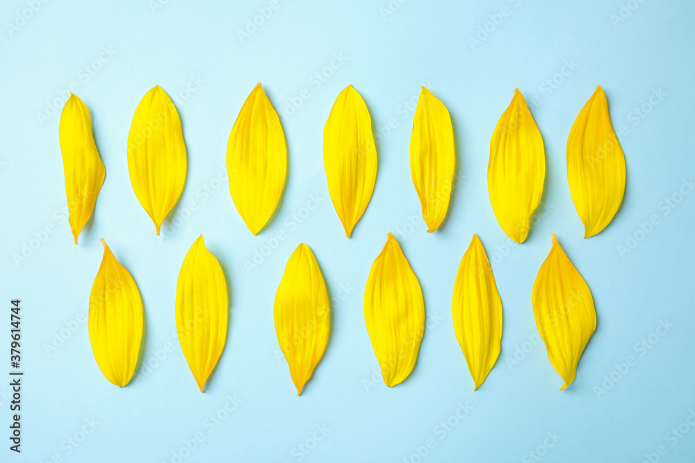 Fresh yellow sunflower petals on light blue background, flat lay - obrazy, fototapety, plakaty 