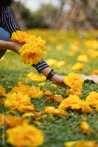 Woman hand holding flower in garden background.