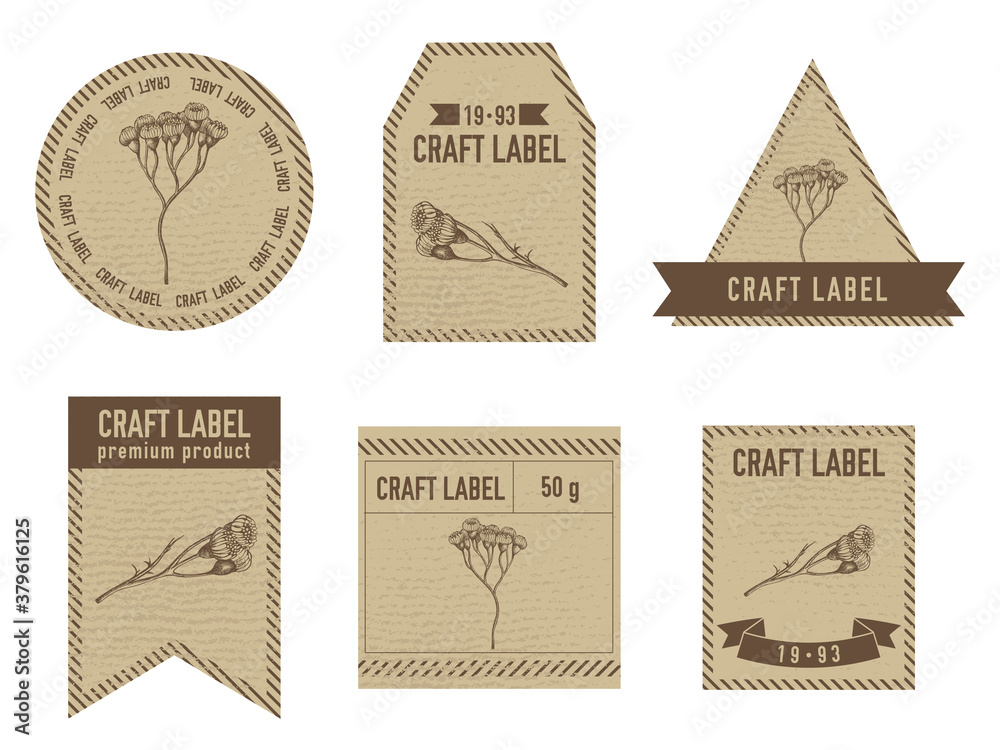 Craft labels vintage design with illustration of tansy