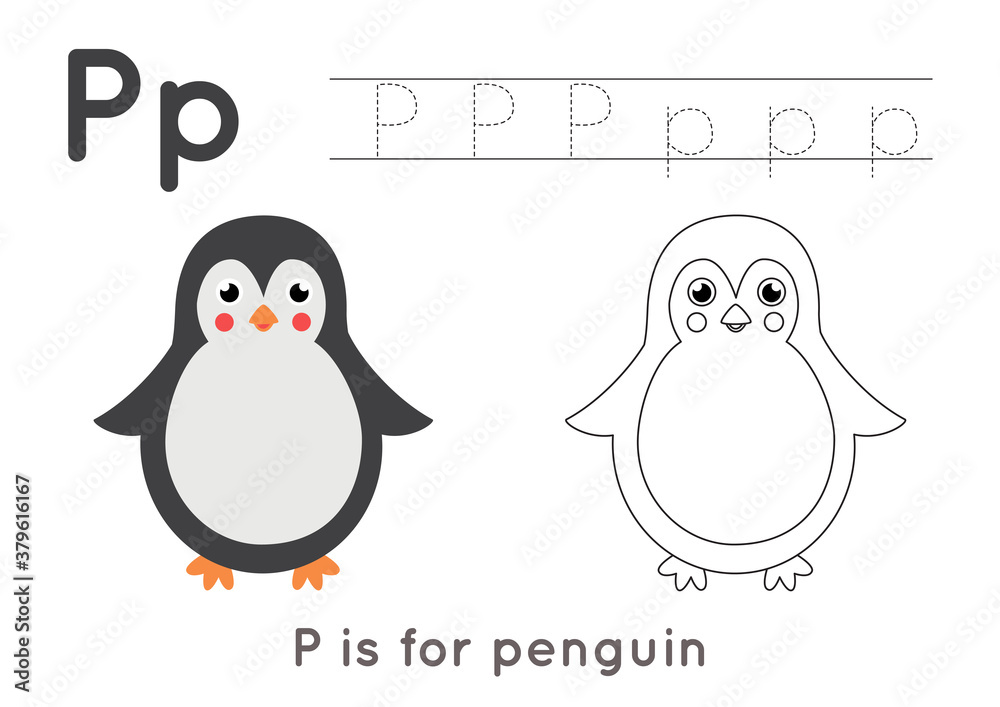 Coloring and tracing page with letter P and cute cartoon penguin. Coloring and tracing page with letter P and cute cartoon penguin.