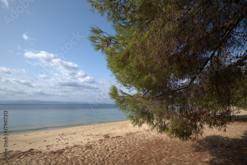 Fototapeta Naklejka Na Ścianę i Meble -  Koukounaries beach , at Skiathos island , in Greece	