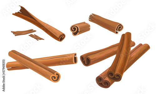 Cinnamon Dried Sticks or Bark Strips Vector Set
