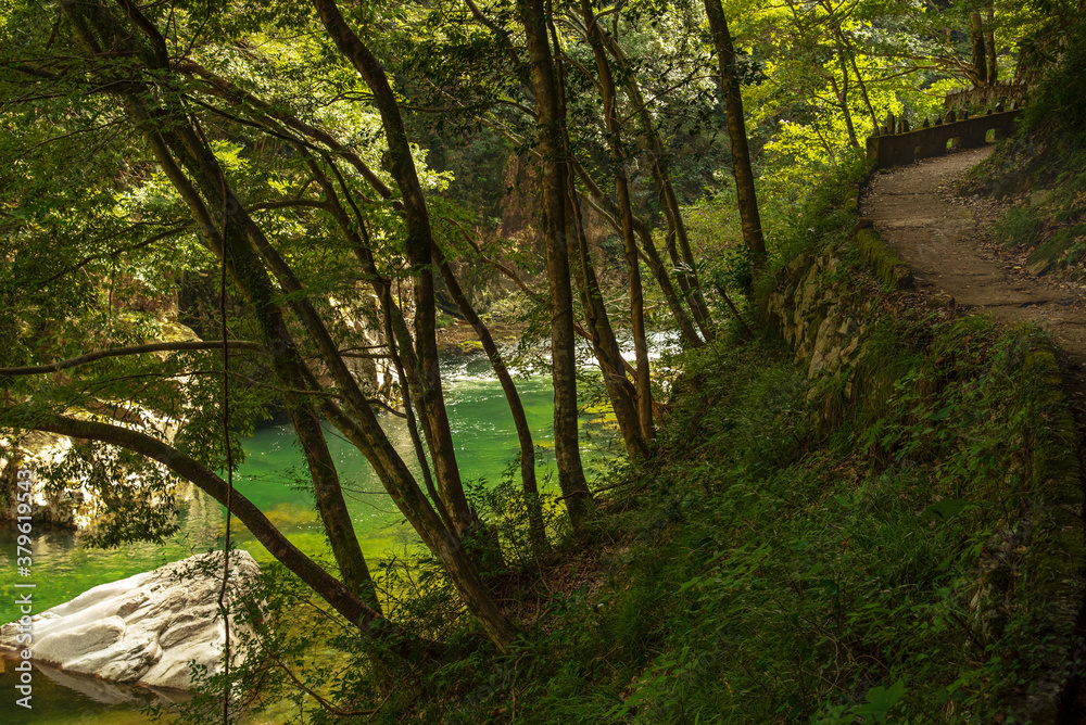 Naklejka premium 広島県・三段峡を散策する