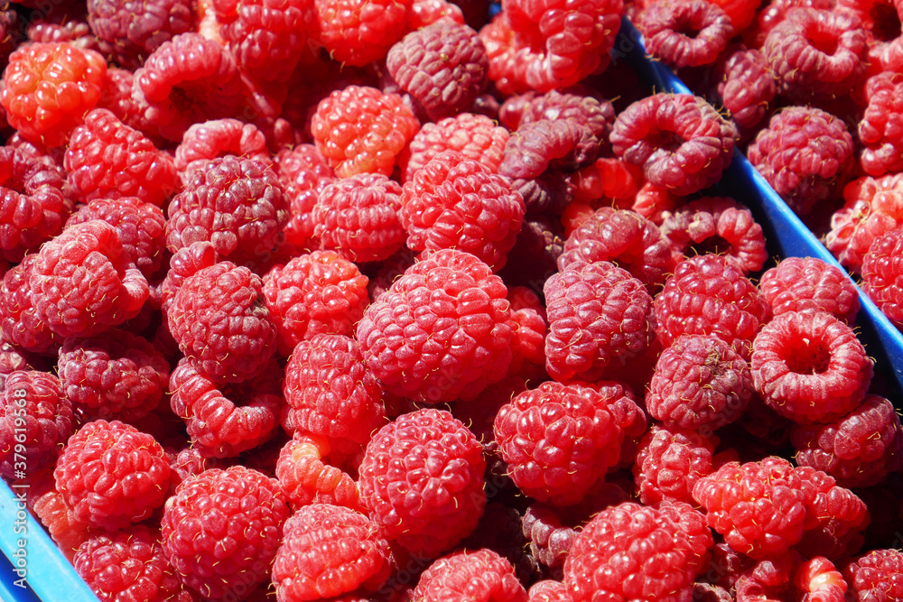Fresh ripe red raspberries in a plastic crate on a market . Close-up.. Fresh ripe red raspberries in a plastic crate on a market . Close-up..