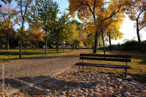 bench in the park in autumn