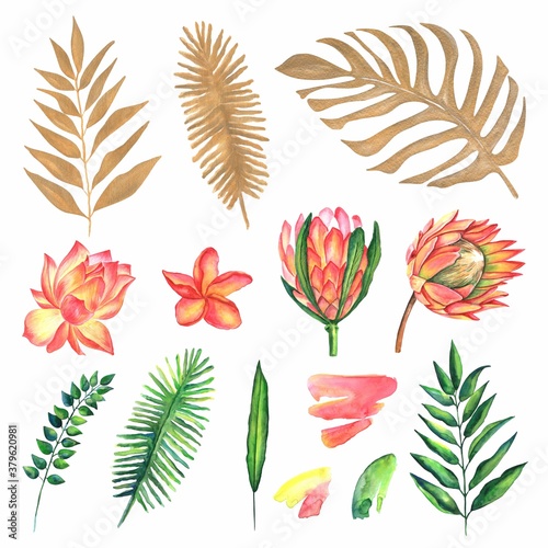 Watercolor set of vintage floral tropical natural elements. Exotic flowers, botanical bright classic nature collection isolated on white background.