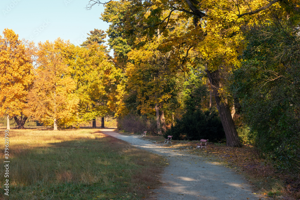 Footpath in a beautiful colorful autumn park Footpath in a beautiful colorful autumn park