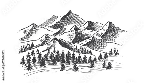 Mountain landscape  hand drawn illustration 