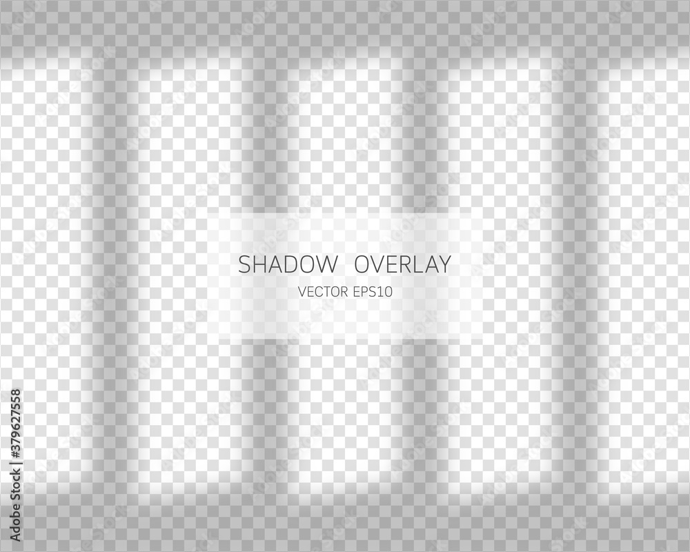 Shadow overlay effect. Natural shadows from window isolated on transparent background. Vector illustration. 