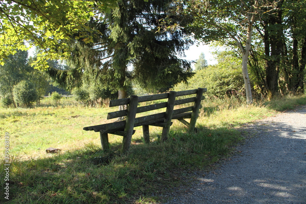 a nice old garden bench