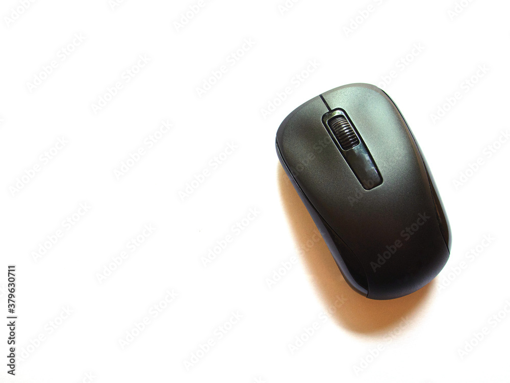 computer mouse on isolated  white