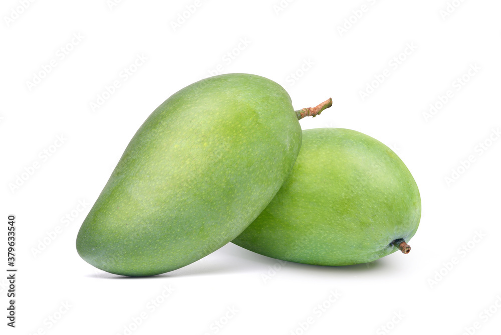 Two green mangoes fruit isolated on white background. clipping path Two green mangoes fruit isolated on white background. clipping path