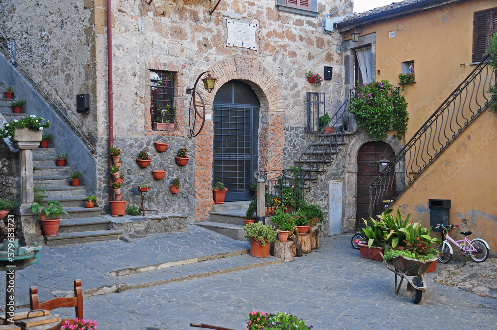 Obraz premium Il Borgo di Roccalvecce - Viterbo