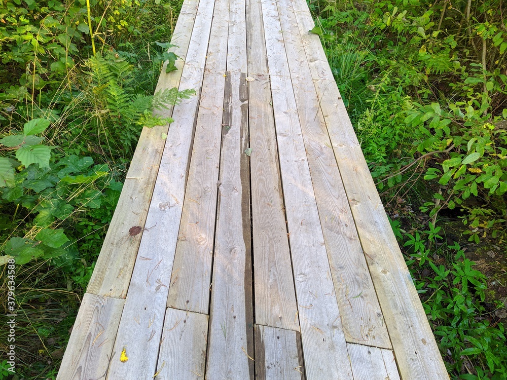 sidewalk in the woods from wooden boards sidewalk in the woods from wooden boards