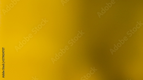 abstract yellow and black color photo in blur with texture from nature leaf plant for backfround, look essm like a lake or hole with rough texture. photo