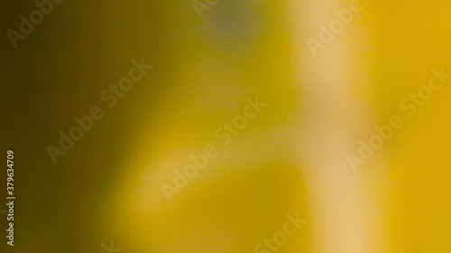 abstract yellow and black color photo in blur with texture from nature leaf plant for backfround, look essm like a lake or hole with rough texture. photo