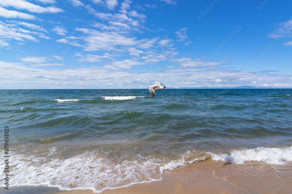 A seagull soars in the blue sky over the turquoise waters of Lake Baikal.