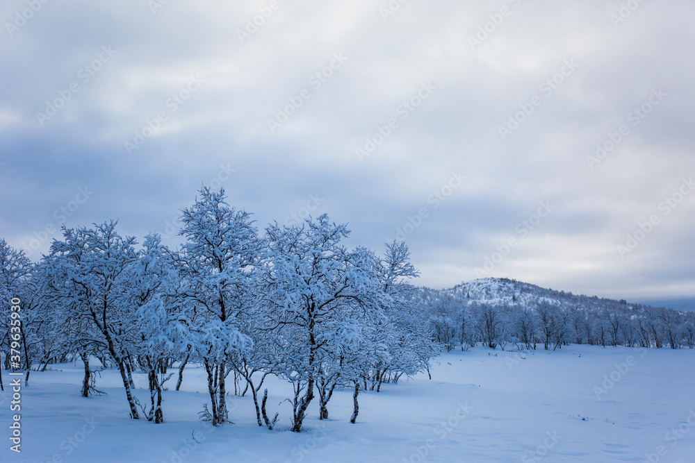 Winter landscape in Nuorgam, Lapland, Finland Winter landscape in Nuorgam, Lapland, Finland