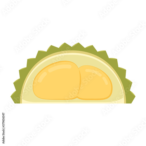 Durian cartoon vector on white background.