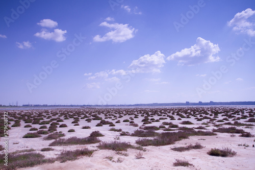 dry lake landscape