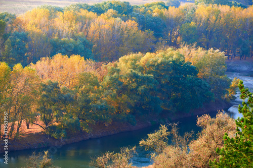 bright colorful autumn forest landscape, trees near river and blue sky, view from high hill