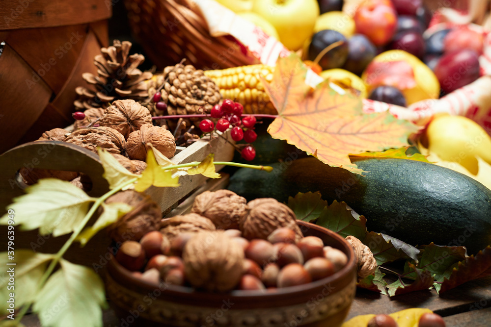 autumn still life in rustic style as a background - leaves, vegetables and fruits, nuts and other natural food ingredients on wooden boards autumn still life in rustic style as a background - leaves, vegetables and fruits, nuts and other natural food ingredients on wooden boards