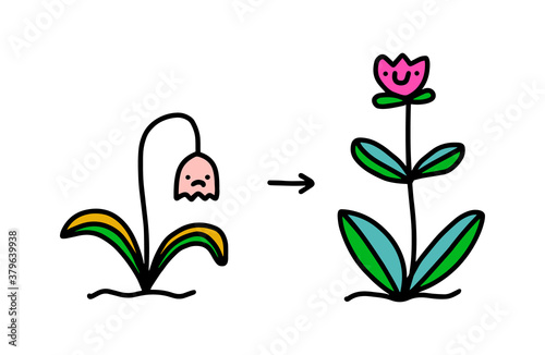 Plant with flower before and after care support hand drawn vector illustration in cartoon doodle style