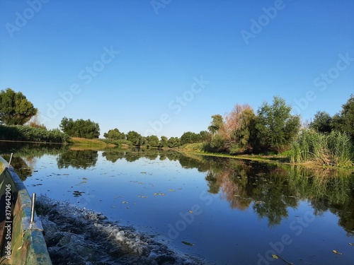 lake in the park