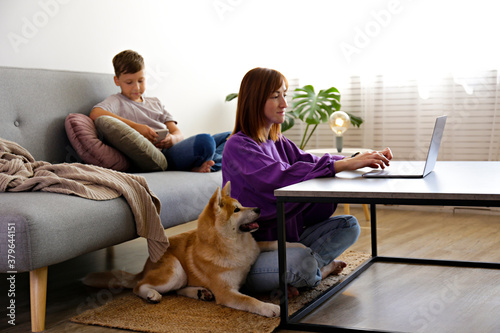 Image of a happy family, boy on the couch and his mother sitting on the floor with nine months old japanese akita inu doggy. Kid, his mom and funny big breed dog playing at home. Close up, copy space. © Evrymmnt