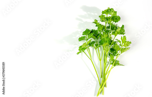Parsley bunch with shadow isolated on white background. Can used for flavoring Italian foods.