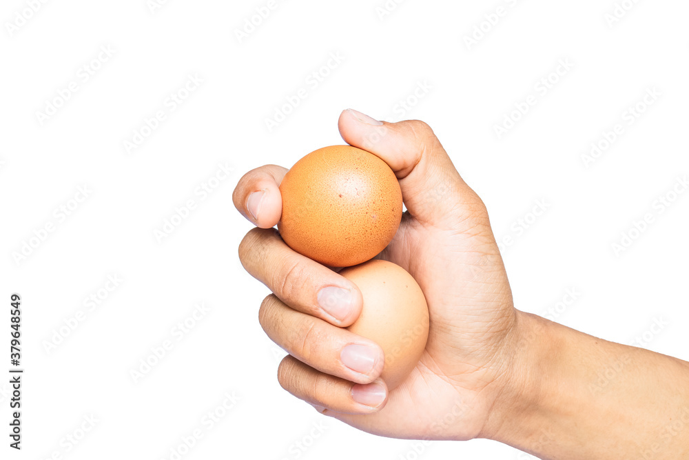 Human hand holding brown eggs with white background Human hand holding brown eggs with white background