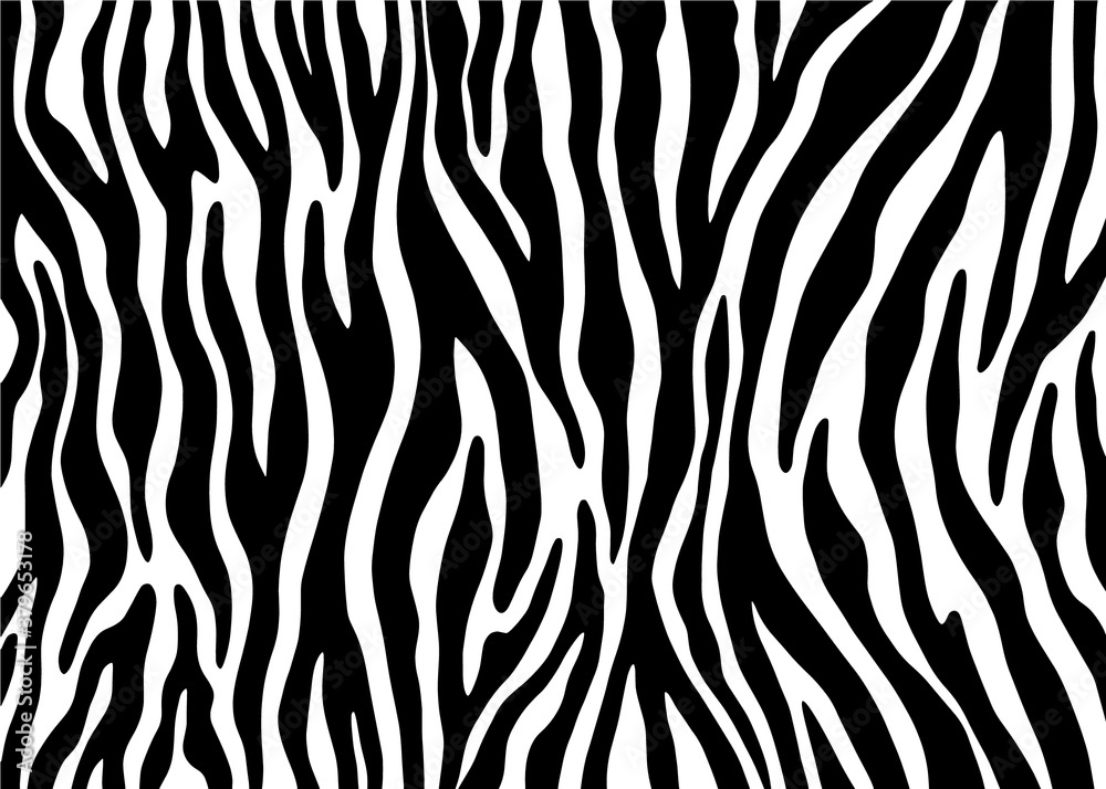 Abstract Zebra pattern design, animal skin vector illustration background. wildlife fur skin design illustration. Abstract Zebra pattern design, animal skin vector illustration background. wildlife fur skin design illustration.