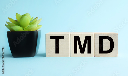 tmd. text on a blue background on wood cubes near a plant in a pot