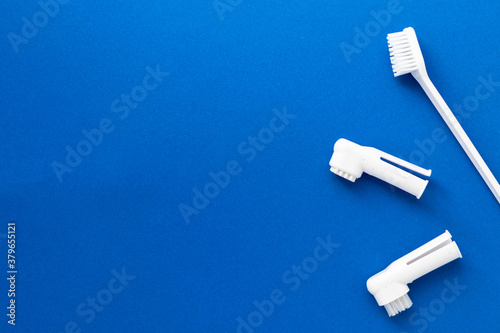 Toothbrushes for dogs and cats on blue background. Kit for pet dental care. Healthy tooths. Veterinary medicine and animal concept. Flat lay, top view with copy space.