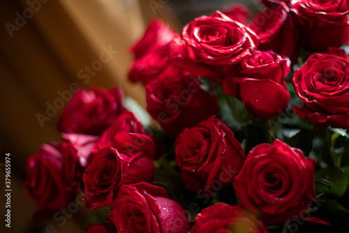  bouquet of bright red roses