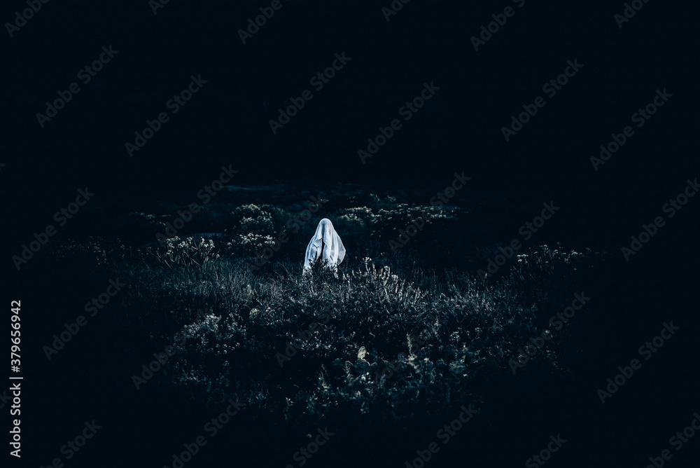 Naklejka premium fantasma