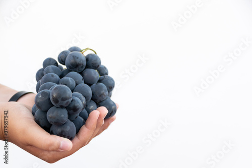 Horizontal shot of a hand holding a bunch of black grapes on a white background