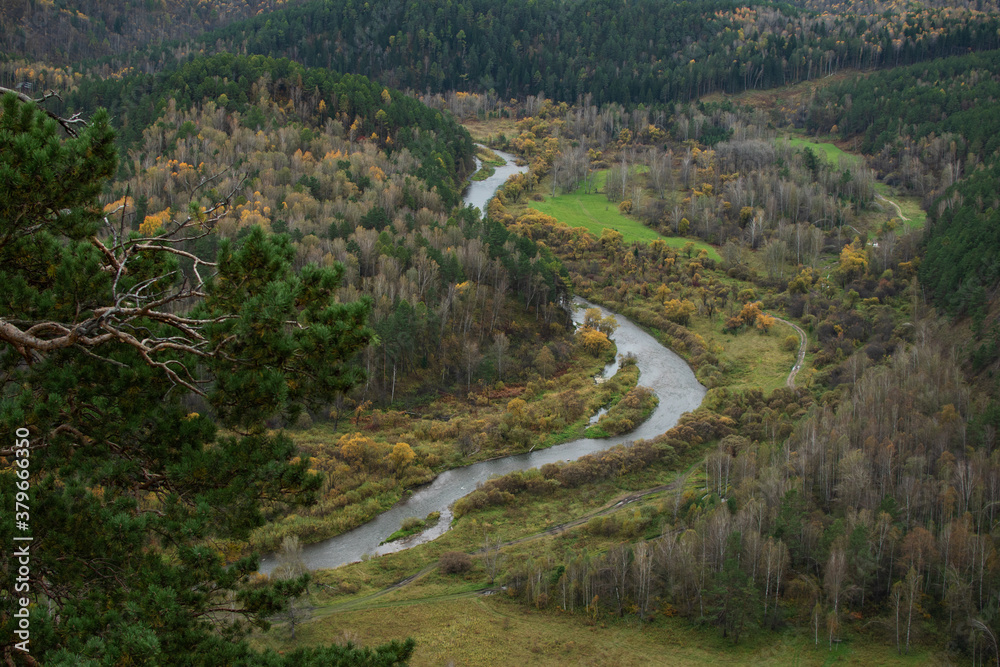Obraz premium Natural river landscape with forest. The photo