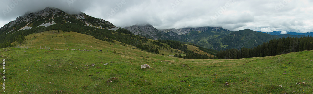 Landscape near Alp Bachlalm at Filzmoos in Salzburg Province,Austria,Europe 

