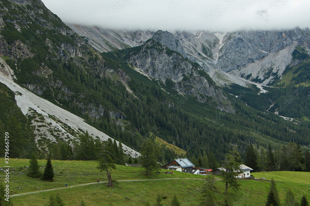 Alp Bachlalm near Filzmoos in Salzburg Province,Austria,Europe 
