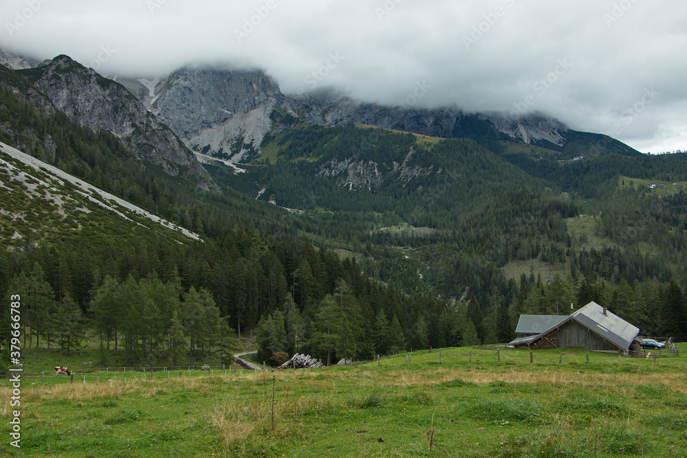 Alp Bachlalm near Filzmoos in Salzburg Province,Austria,Europe 
