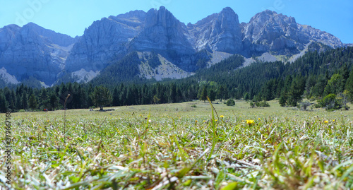 Panoramic view of the meadow and the mountains of Prat del Cadí, Cadí-Moixeró Natural Park, La Cerdanya, Catalonia. photo