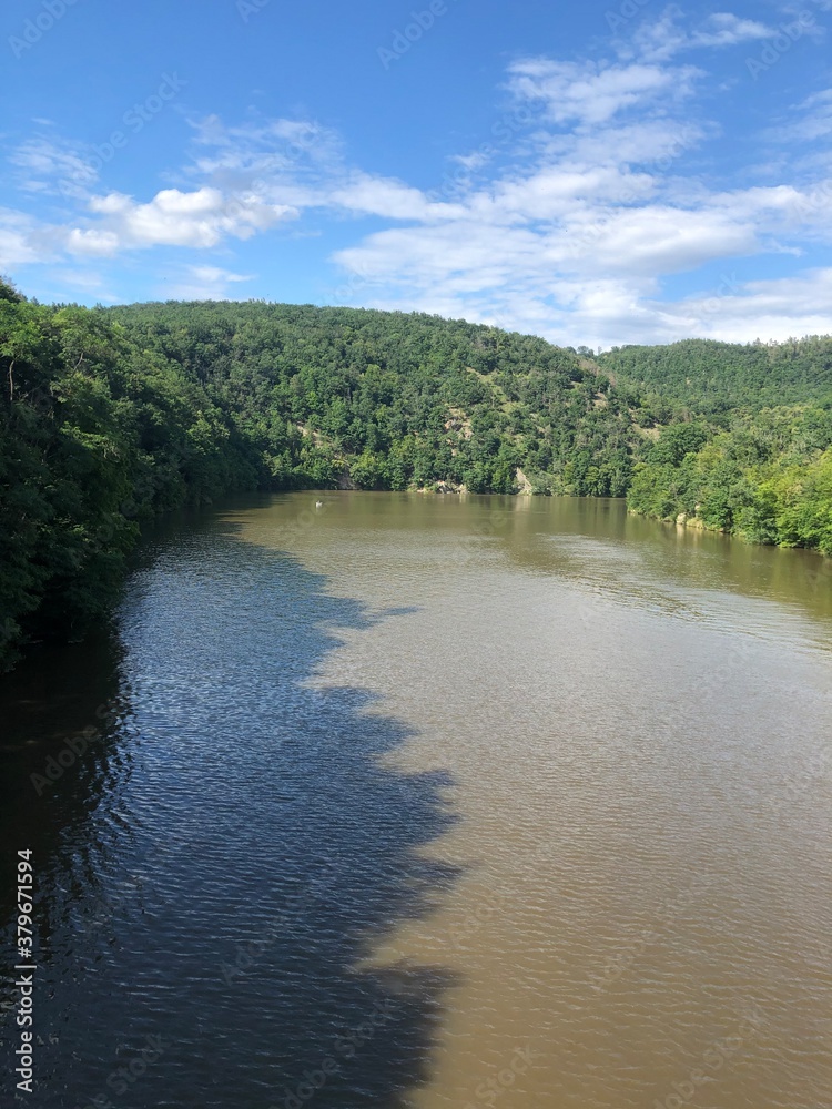 Fototapeta premium river in the forest in the city