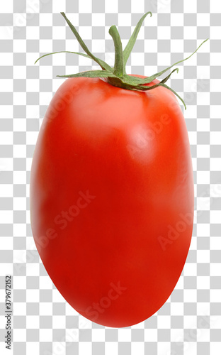 San Marzano, plum or Roma tomato  isolated on transparent background including clipping path.