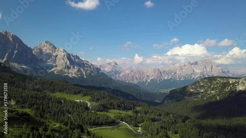 Green valley, Pine tree forest in the Dolomites Mountains, San Vito di Cadore, Belluno, Italia, Europe photo