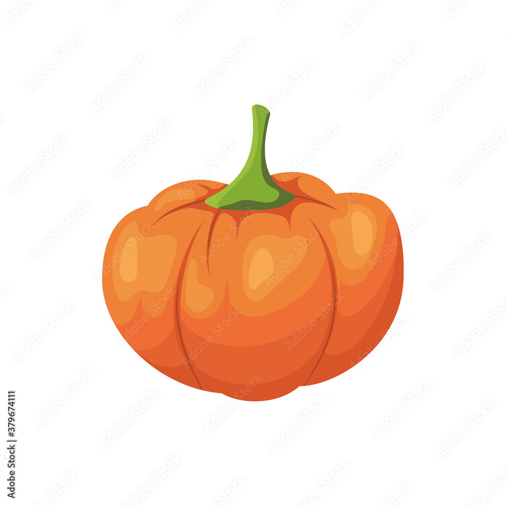 Orange pumpkin vector icon. Symbol of Halloween, Thanksgiving Day. Isolated vegetable on a white background. Cartoon style