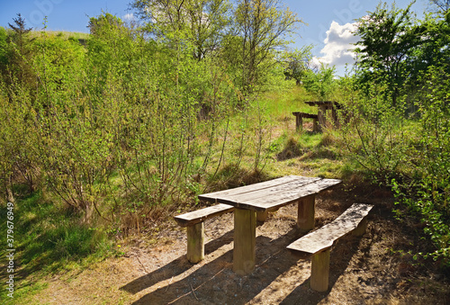 forest with picnic table and benches